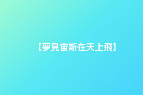 【夢見宙斯在天上飛】