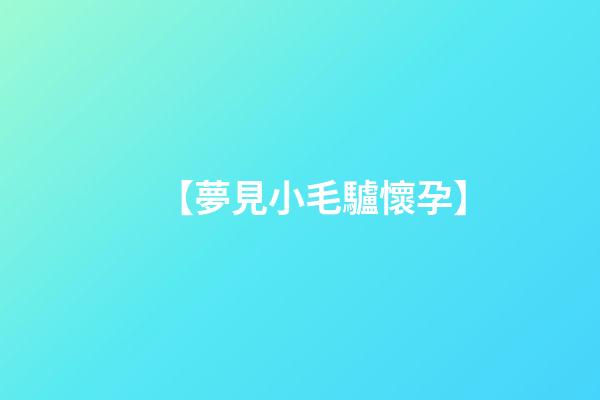 【夢見小毛驢懷孕】