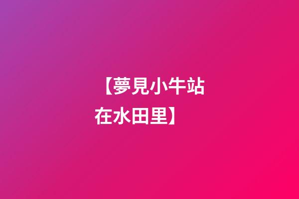 【夢見小牛站在水田里】