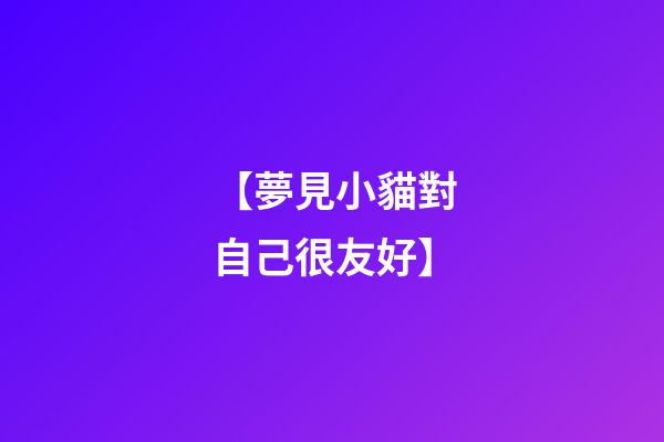 【夢見小貓對自己很友好】