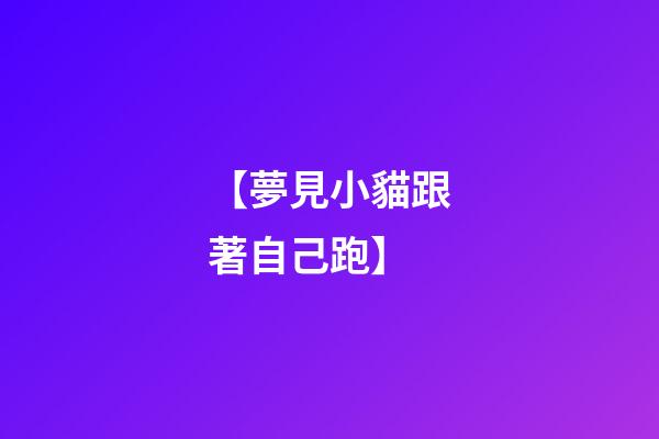 【夢見小貓跟著自己跑】