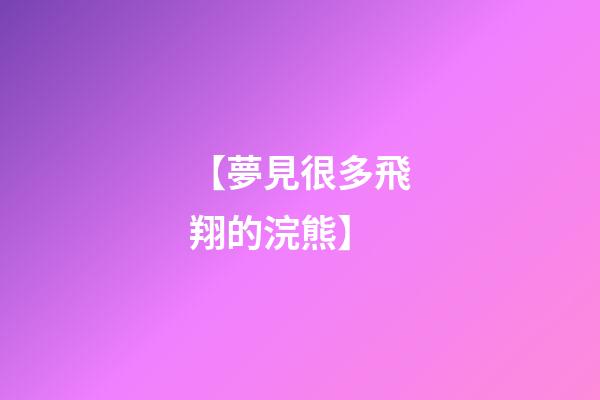 【夢見很多飛翔的浣熊】