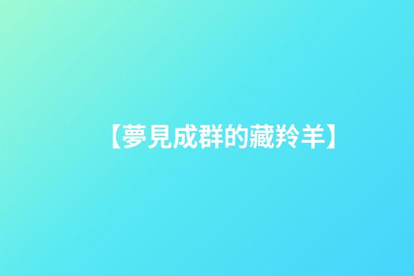 【夢見成群的藏羚羊】