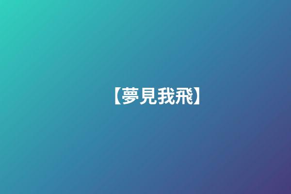 【夢見我飛】