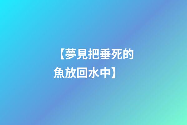 【夢見把垂死的魚放回水中】