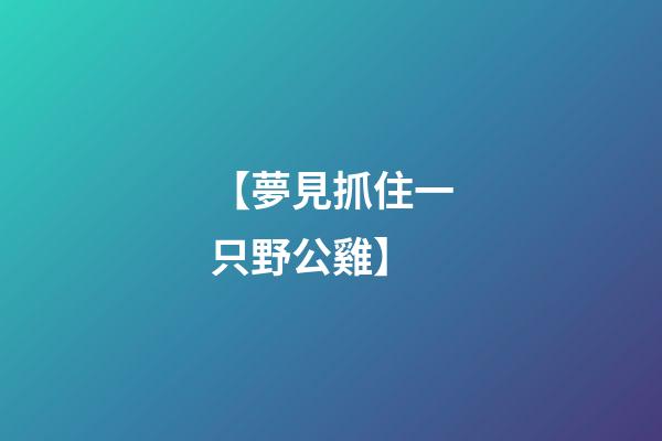 【夢見抓住一只野公雞】