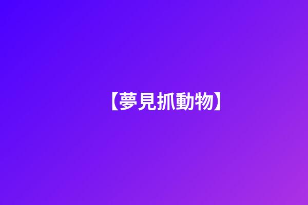 【夢見抓動物】