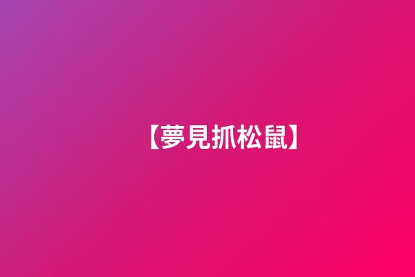 【夢見抓松鼠】