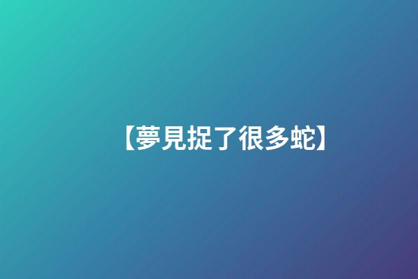 【夢見捉了很多蛇】