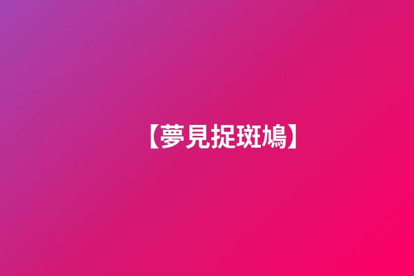 【夢見捉斑鳩】