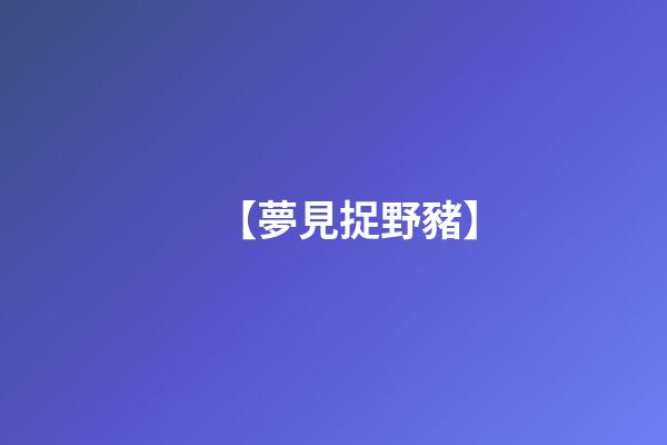 【夢見捉野豬】