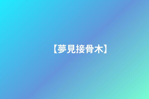 【夢見接骨木】