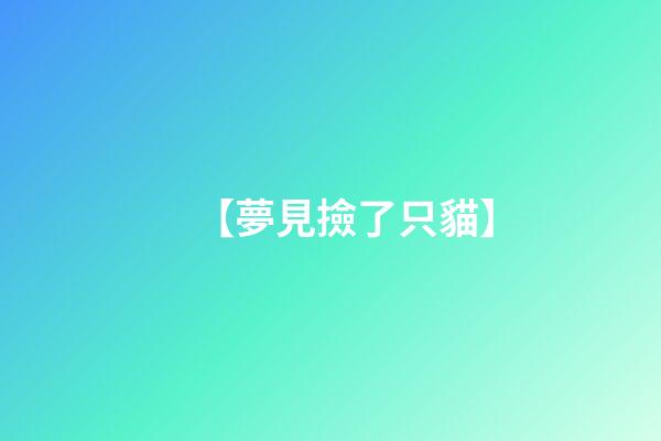 【夢見撿了只貓】