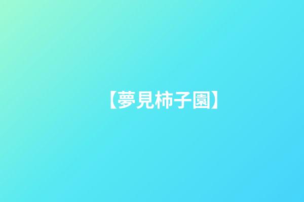 【夢見柿子園】