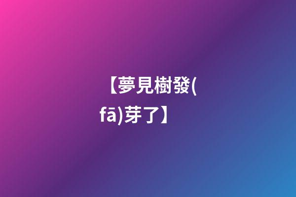 【夢見樹發(fā)芽了】