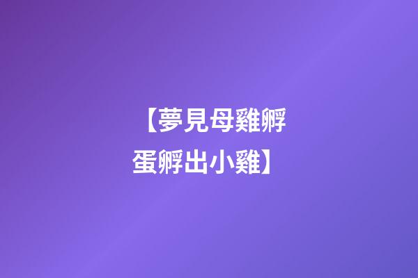 【夢見母雞孵蛋孵出小雞】