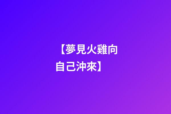 【夢見火雞向自己沖來】