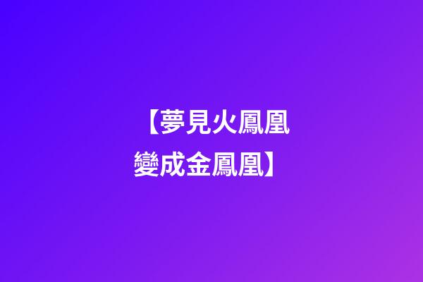 【夢見火鳳凰變成金鳳凰】