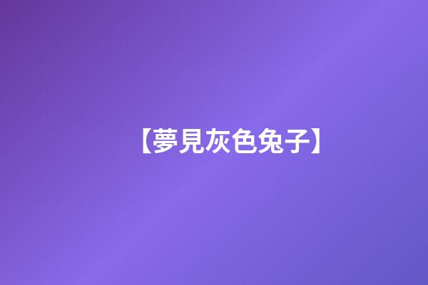 【夢見灰色兔子】