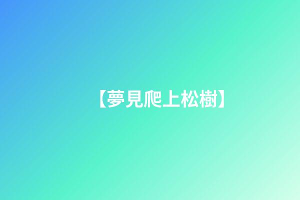 【夢見爬上松樹】