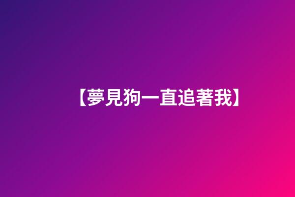 【夢見狗一直追著我】