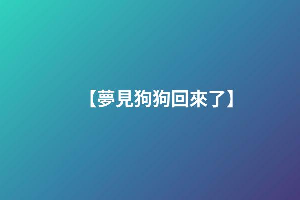 【夢見狗狗回來了】