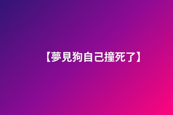 【夢見狗自己撞死了】