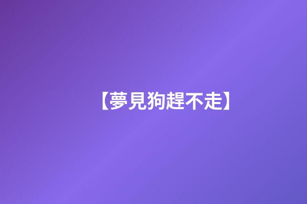 【夢見狗趕不走】