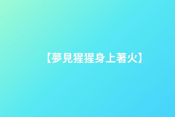 【夢見猩猩身上著火】