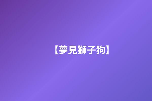 【夢見獅子狗】