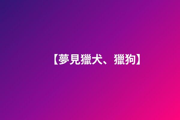 【夢見獵犬、獵狗】
