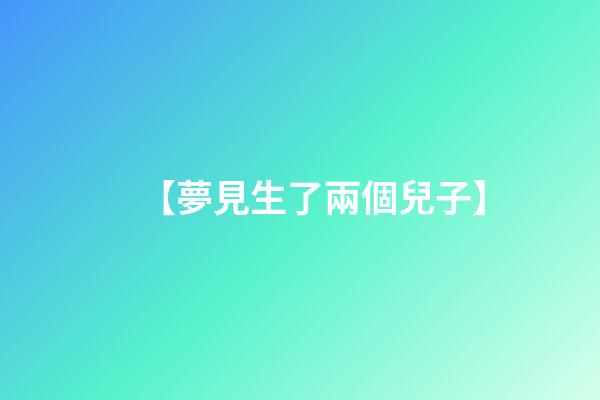 【夢見生了兩個兒子】
