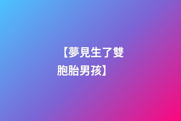 【夢見生了雙胞胎男孩】