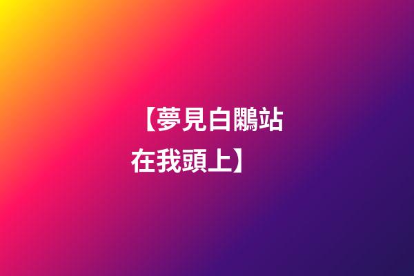 【夢見白鷴站在我頭上】
