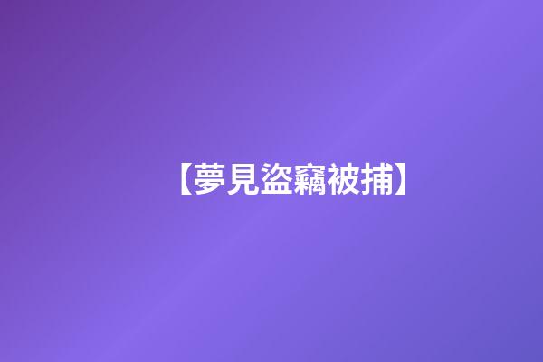 【夢見盜竊被捕】