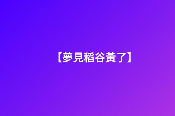 【夢見稻谷黃了】