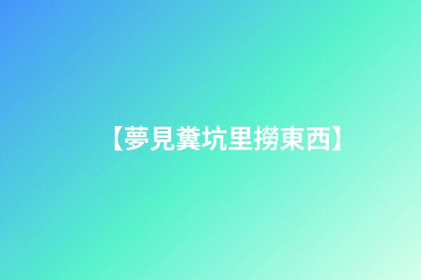 【夢見糞坑里撈東西】