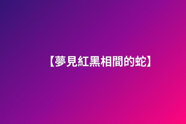 【夢見紅黑相間的蛇】