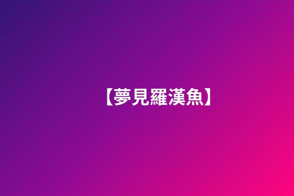 【夢見羅漢魚】