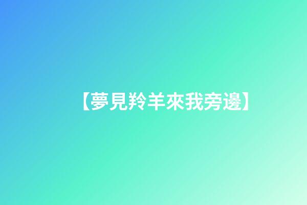 【夢見羚羊來我旁邊】