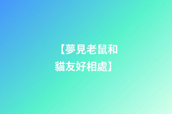 【夢見老鼠和貓友好相處】