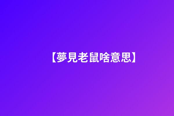 【夢見老鼠啥意思】