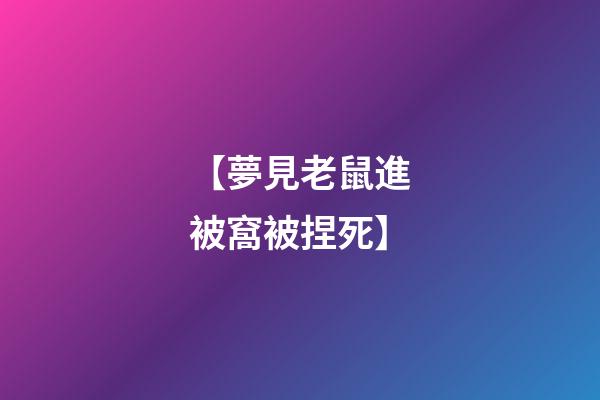 【夢見老鼠進被窩被捏死】