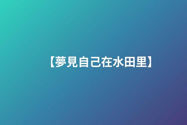 【夢見自己在水田里】
