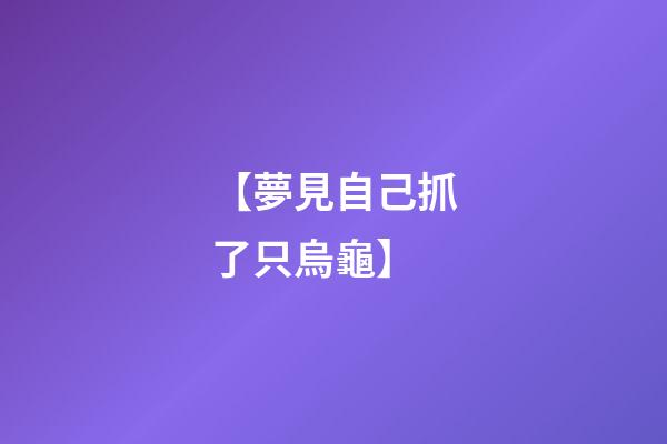 【夢見自己抓了只烏龜】