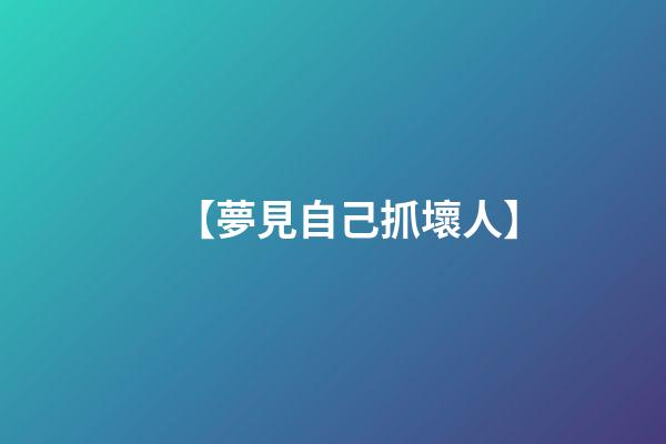 【夢見自己抓壞人】