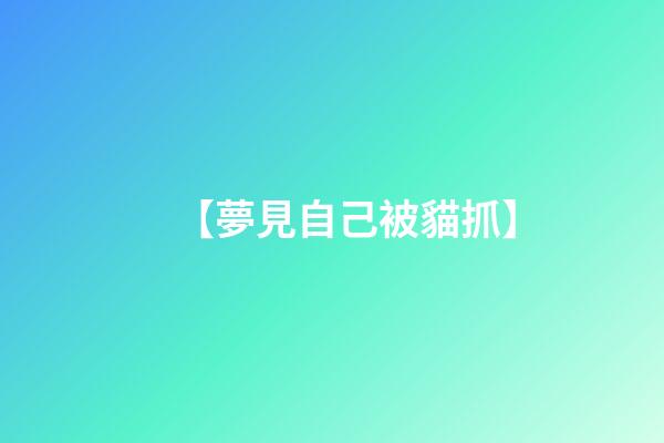 【夢見自己被貓抓】