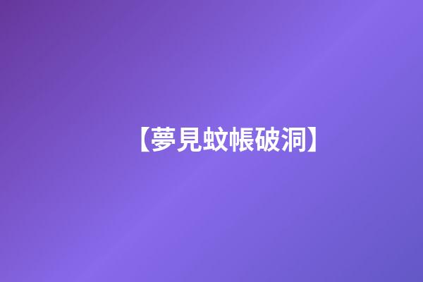 【夢見蚊帳破洞】