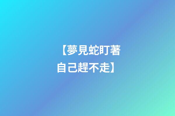 【夢見蛇盯著自己趕不走】