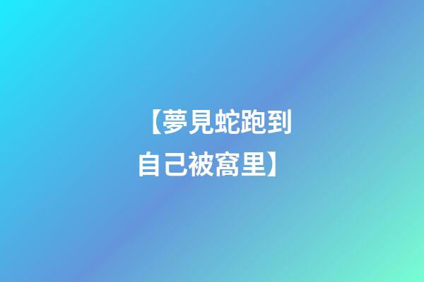 【夢見蛇跑到自己被窩里】